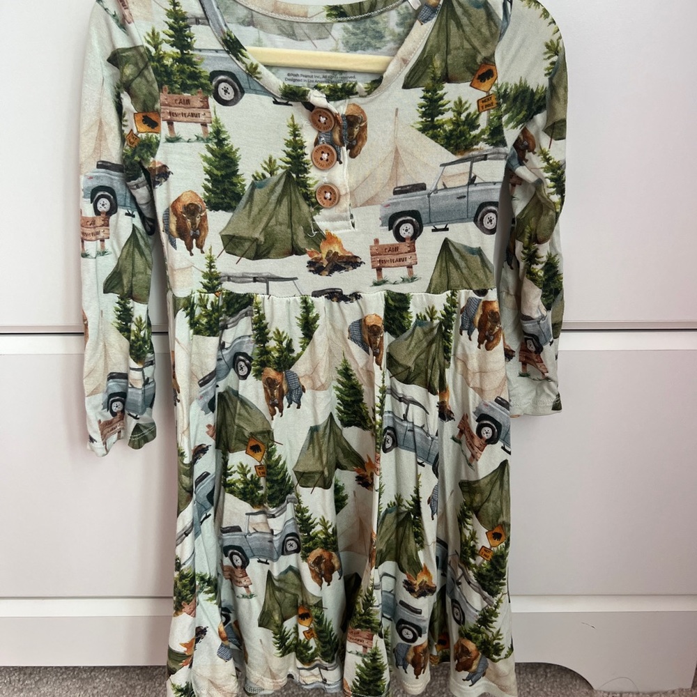 2T twirl dress by Posh Peanut